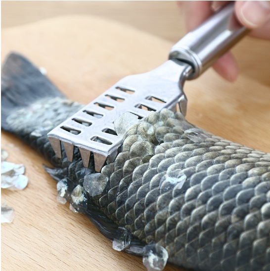 Metal fish scaler