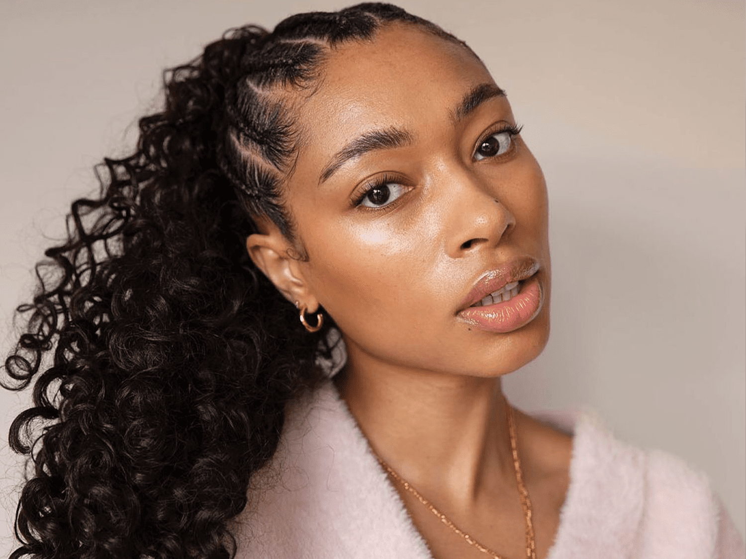 23 Braided Hairstyles for Curly Hair That Are Fresh and Elegant