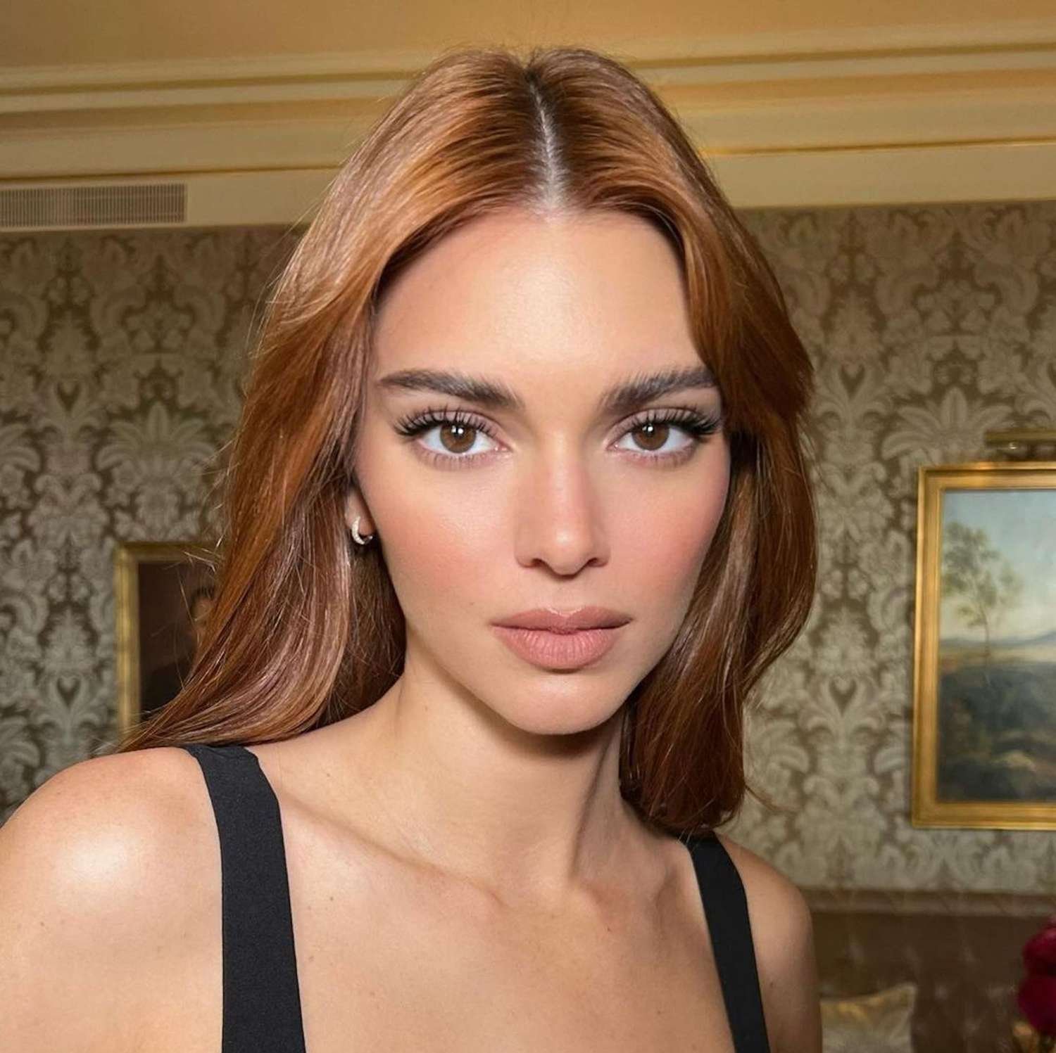 Kendall Jenner Reddish Brown Hair