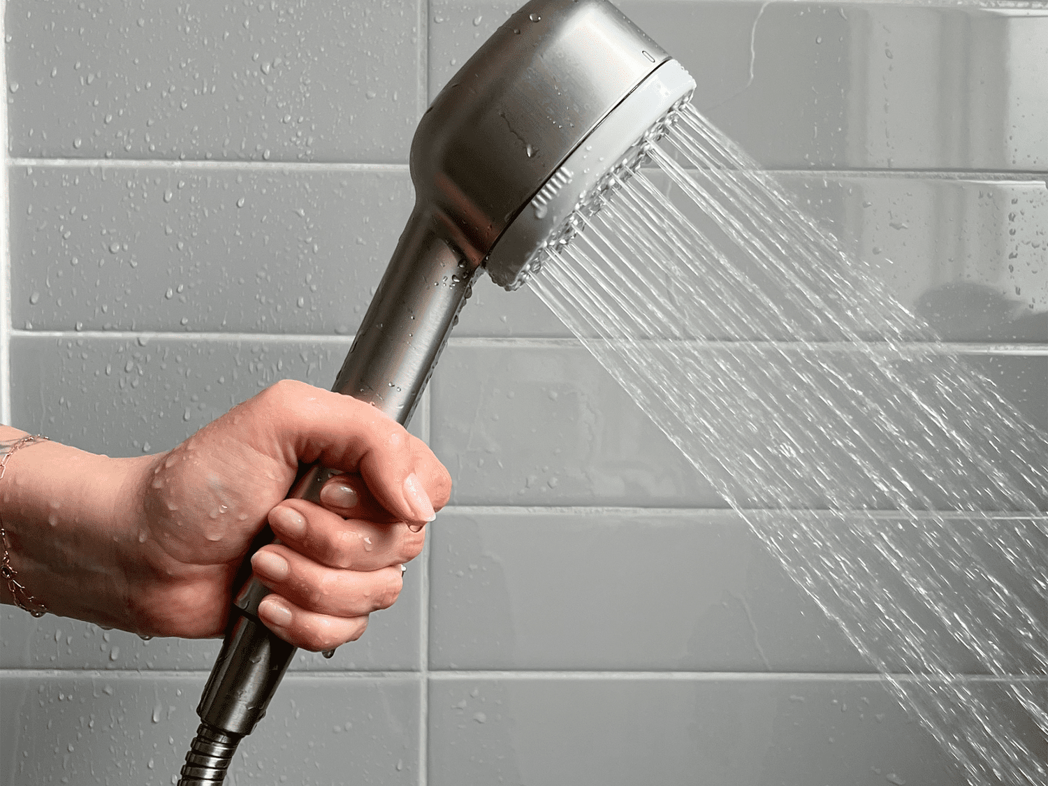 Canopy Handheld Showerhead